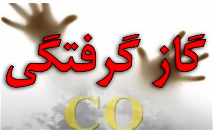 هشدار پزشکی قانونی در مورد افزایش تلفات مسمومیت با گاز