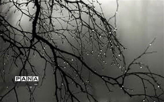 کاهش ۴۷ درصدی بارندگی‌ها در بروجرد/توسعه کشت برنج نگران کننده است