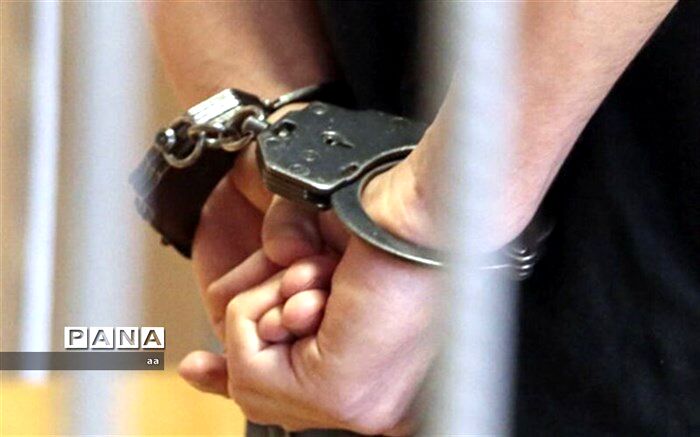 ۲ فرد کلاهبردار در بروجرد دستگیر شدند
