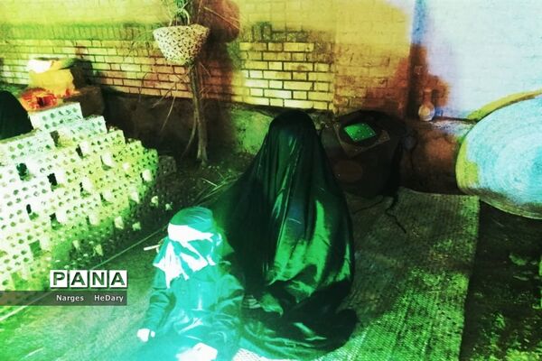 نمایشگاه یاس کبود در شهرستان امیدیه