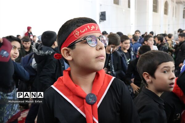 پویش دانش آموزی نوگلان فاطمی در آباده