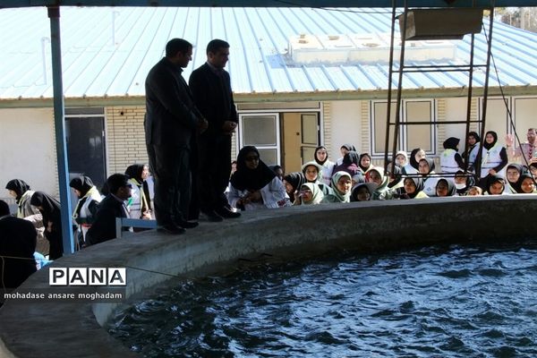 اردوی 250 نفری مهارتی، تشکیلاتی پیشتازان شهرستان زهک در شمال استان سیستان و بلوچستان