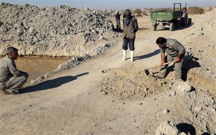 احیاء پوشش گیاهی تالاب هامون با هدایت آب به کانون های گرد و غبارسیستان