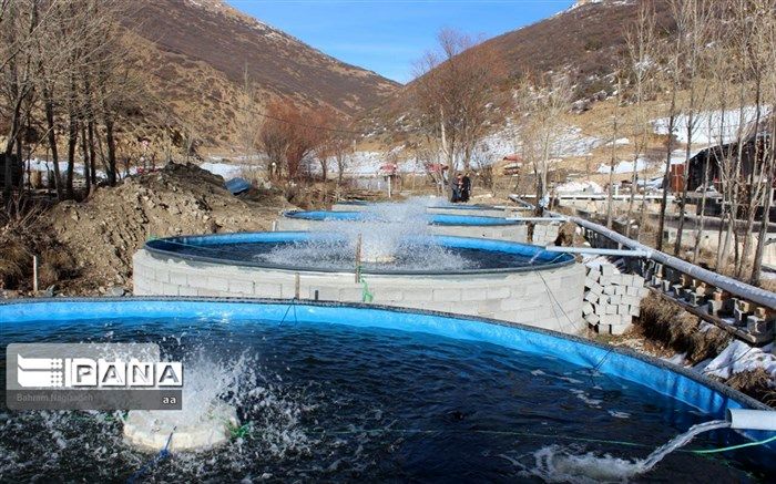 لرستان باید در مسیر تولید پایدار قرار گیرد