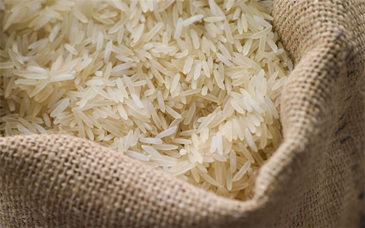 بررسی آفلاتوکسین موجود در برنج ایرانی