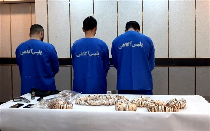 توقف رشد سرقت در کشور