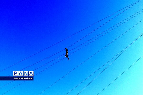 صبحگاه مشترک بسیج دانش آموزی، پویندگان و پیشگامان یاوران ولایت