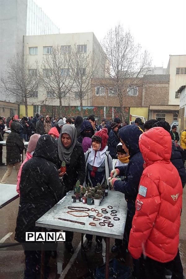 جشنواره بازارچه کارو فناوری