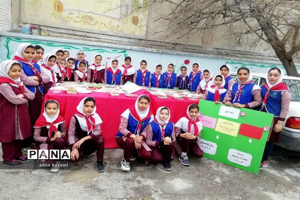 برگزاری جشن دهه فجر در مدارس داراب