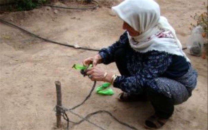 ثبت 3 اثر میراث فرهنگی ناملموس قزوین