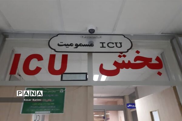 پرستاران ؛فرشتگان مهربانی و سلامت