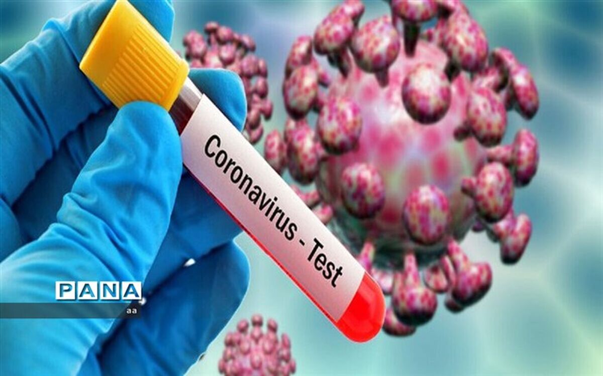 اقدامات مرزبانی برای مقابله با کرونا در پایانه‌های مرزی