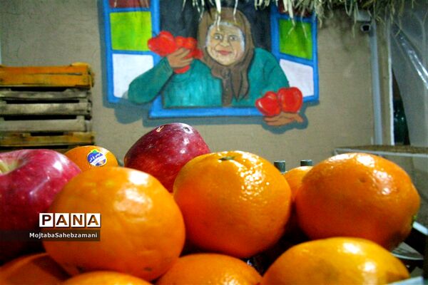آثار دستی روستاهای برگزیده کاشمر در فروشگاه روستا