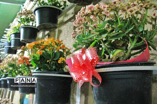 آثار دستی روستاهای برگزیده کاشمر در فروشگاه روستا