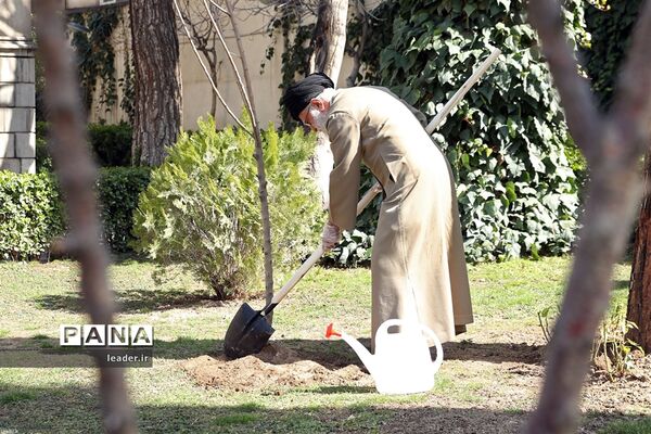 کاشت دو اصله نهال میوه توسط رهبر انقلاب اسلامی