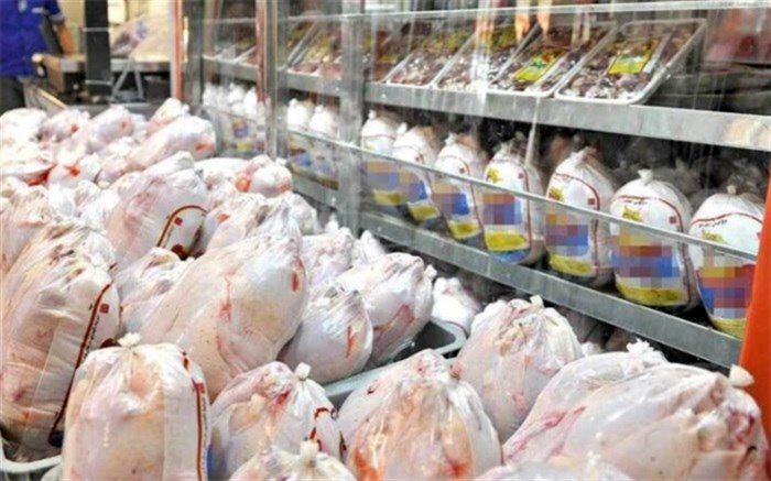 صادرات مرغ به دلیل گسترش بیماری کرونا و بسته شدن مرزها متوقف شد