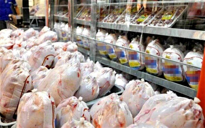 صادرات مرغ به دلیل گسترش بیماری کرونا و بسته شدن مرزها متوقف شد