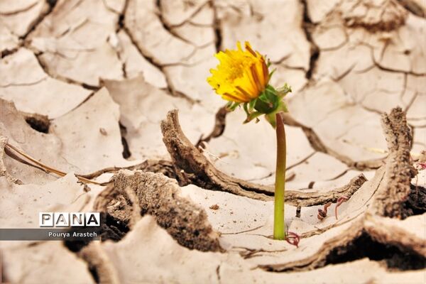 صدای پای بهار درشهرستان خوسف استان خراسان جنوبی