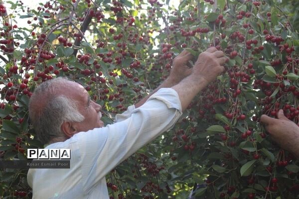عکس‌های منتخب سال 1398 استان آذربایجان شرقی