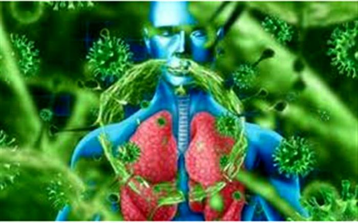 هشت بیمار مبتلا به کرونا در استان زنجان جان باختند