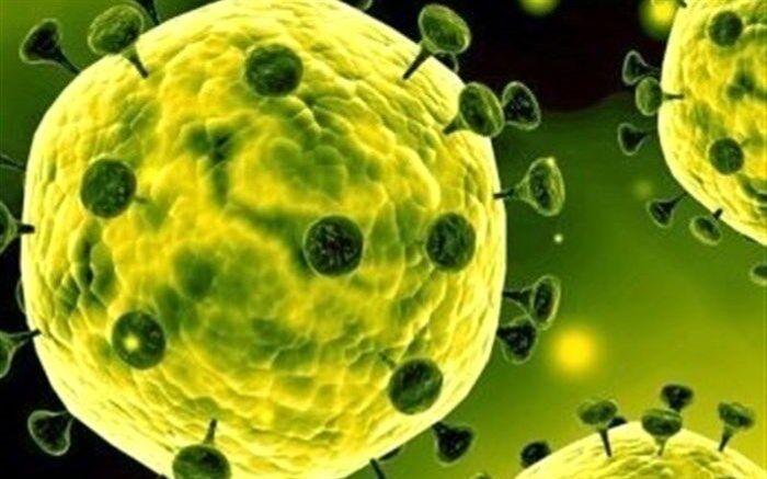 اولین گزارش روزانه اپیدمیولوژی بیماری کرونا منتشر شد