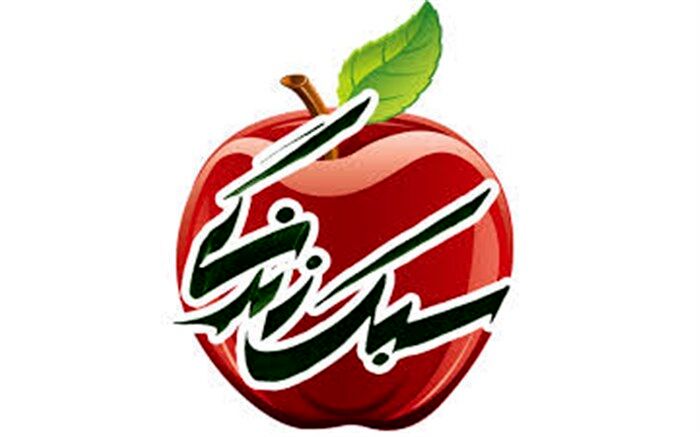 ویروس کرونا یک سبک زندگی است/ تعداد روانباختگان کرونا بیشتر از جانباختگانش است
