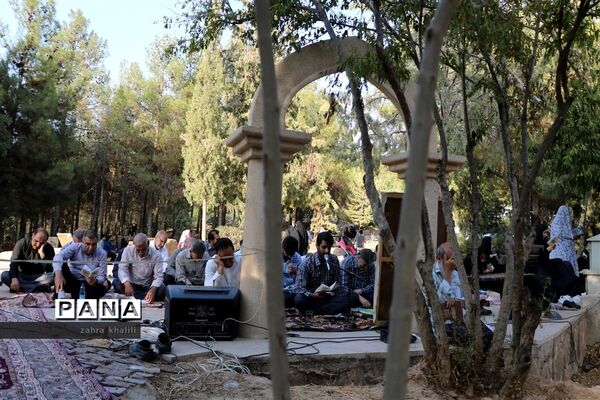 عکس‌های منتخب سال 1398 استان  فارس