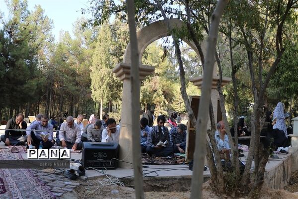 عکس‌های منتخب سال 1398 استان  فارس