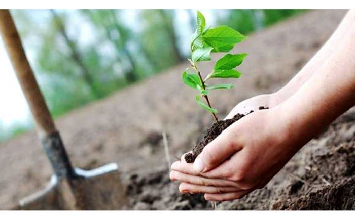 10 هزار درختچه و بوته گل به مناسبت روز درختکاری در یاسوج کاشته شد