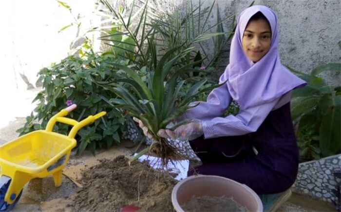 کاشت نهال توسط دانش آموزان به مناسبت روز درختکاری در منزل