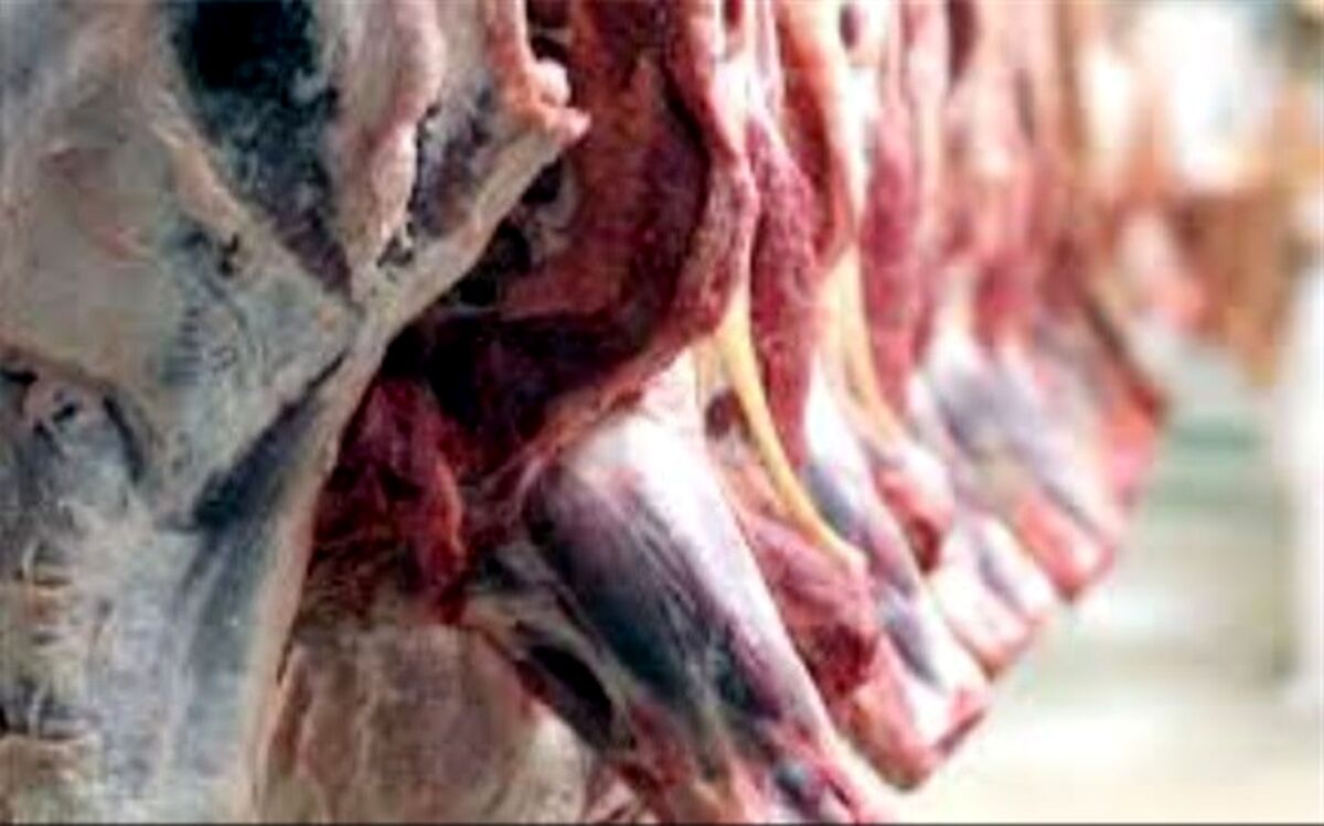 افزایش تقاضای مصرف گوشت ناشی از شایعه قرنطینه‌سازی شهرها