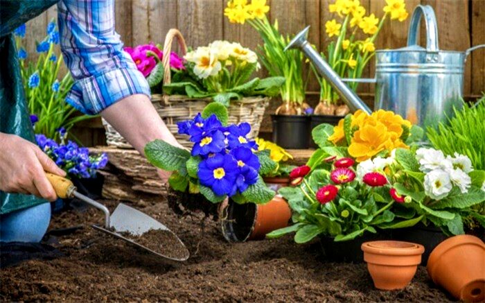 به هوای بهار باغبانی کنید