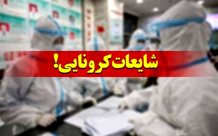 دستگیری ۱۵ شایعه پراکن و فروشنده مواد ضدعفونی کننده در فضای مجازی درباره"کرونا" در زنجان
