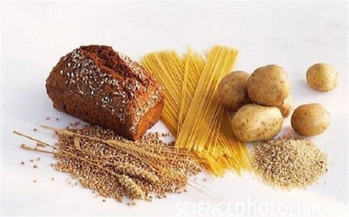 رژیم غذایی کم کربوهیدرات از تاثیر افزایش سن بر مغز پیشگیری می کند