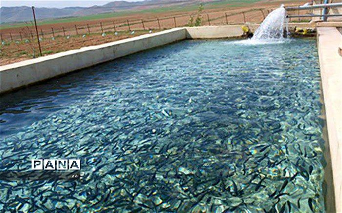 ارزآوری ۴۰۰ میلیون دلاری صادرات آبزیان ایران