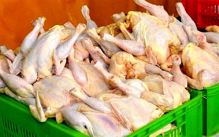 توزیع مرغ کشتار روز در دشتی آغاز شد