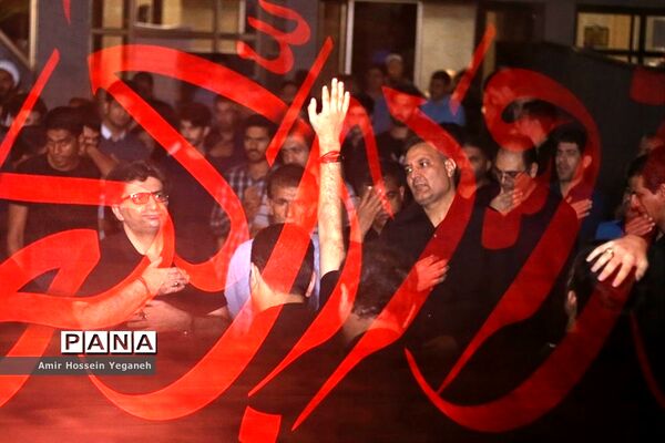 عکس‌های منتخب سال 1398 استان هرمزگان
