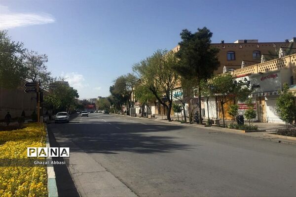 کرونا در شیراز
