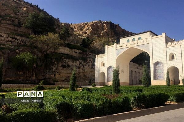کرونا در شیراز