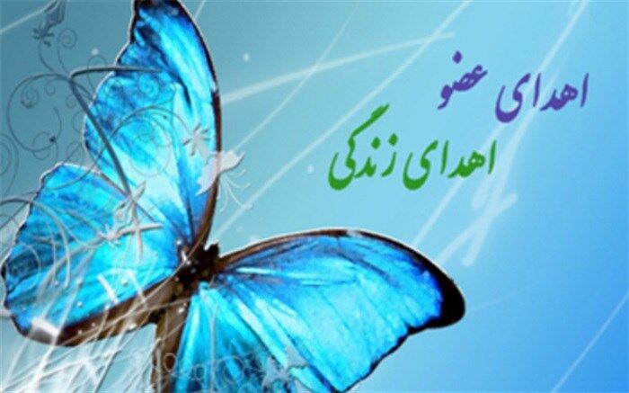 نوجوان دلواری فرشته نجات سه هم‌ وطن شد