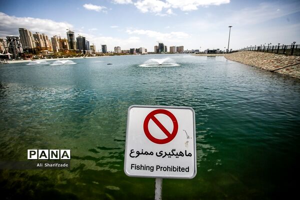 روز طبیعت در دریاچه چیتگر