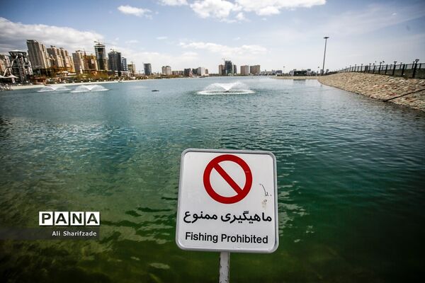 روز طبیعت در دریاچه چیتگر