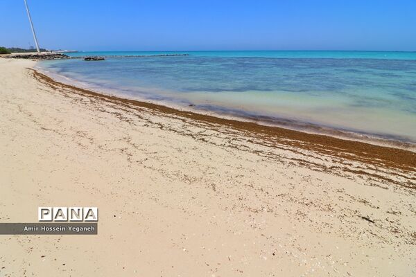 روز طبیعت در کیش