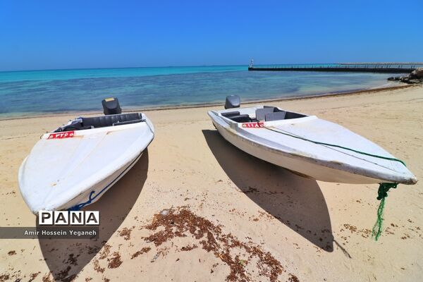 روز طبیعت در کیش