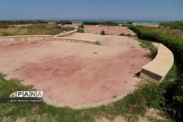 روز طبیعت در کیش