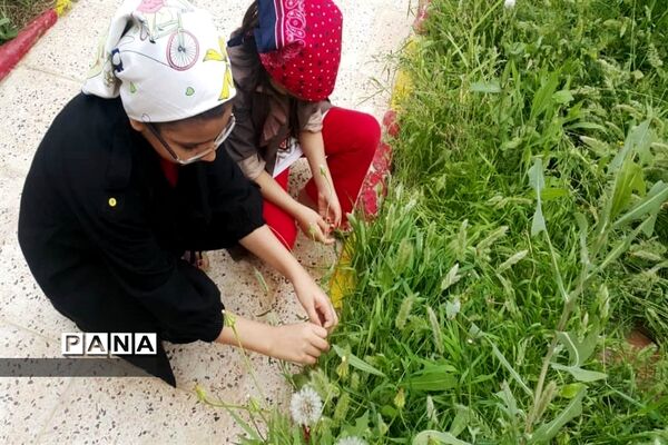 سیزده بدر دانش آموزان شهرستان امیدیه در خانه هایشان