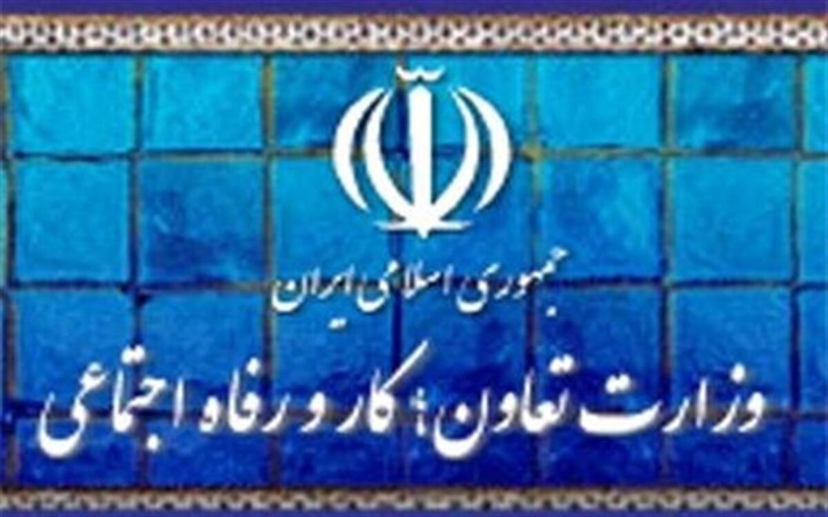راه‌اندازی سامانه خرید و ارسال محصولات مشاغل خانگی