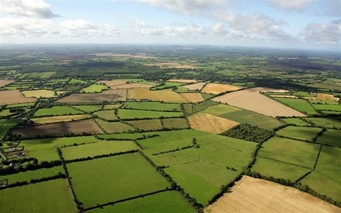 پیش بینی سنددار شدن ۲ میلیون هکتار از اراضی کشاورزی تا پایان سال