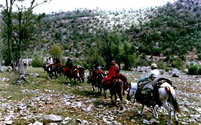 کوچ عشایر تا پایان فروردین ماه انجام می‌شود