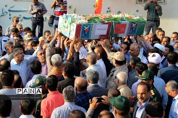 عکس‌های منتخب سال 1398 استان بوشهر